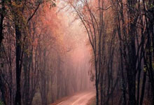 开云体育下载-《逆风翻盘！歌士顿队铁血战纪：从绿茵场到商业帝国的野心燎原》