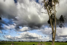 开云下载-黑森林风暴席卷客场！弗莱堡锐不可当豪取三分