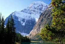 开云体育官方网站-阿尔艾因备战细节曝光，冲击世俱杯全力以赴