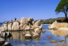 开云APP-塔斯马尼亚联主教练称赞球队拼搏精神，期待突破