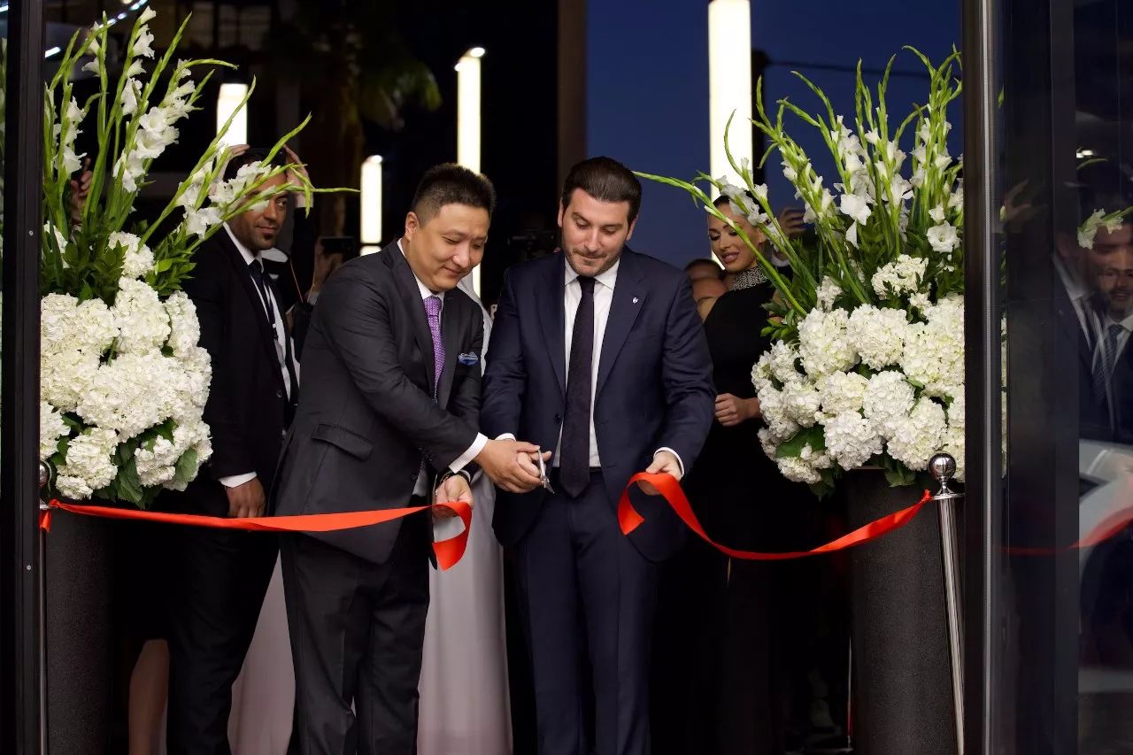 开云体育下载-瑞士队遭遇迪拜尼克队逆转，积分榜下滑的简单介绍