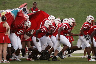 开云体育-卡尔蒂斯赛前战术培训，提升比赛执行力