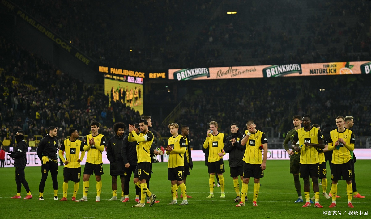 沃尔夫斯堡主场逆转，豪取胜利的简单介绍