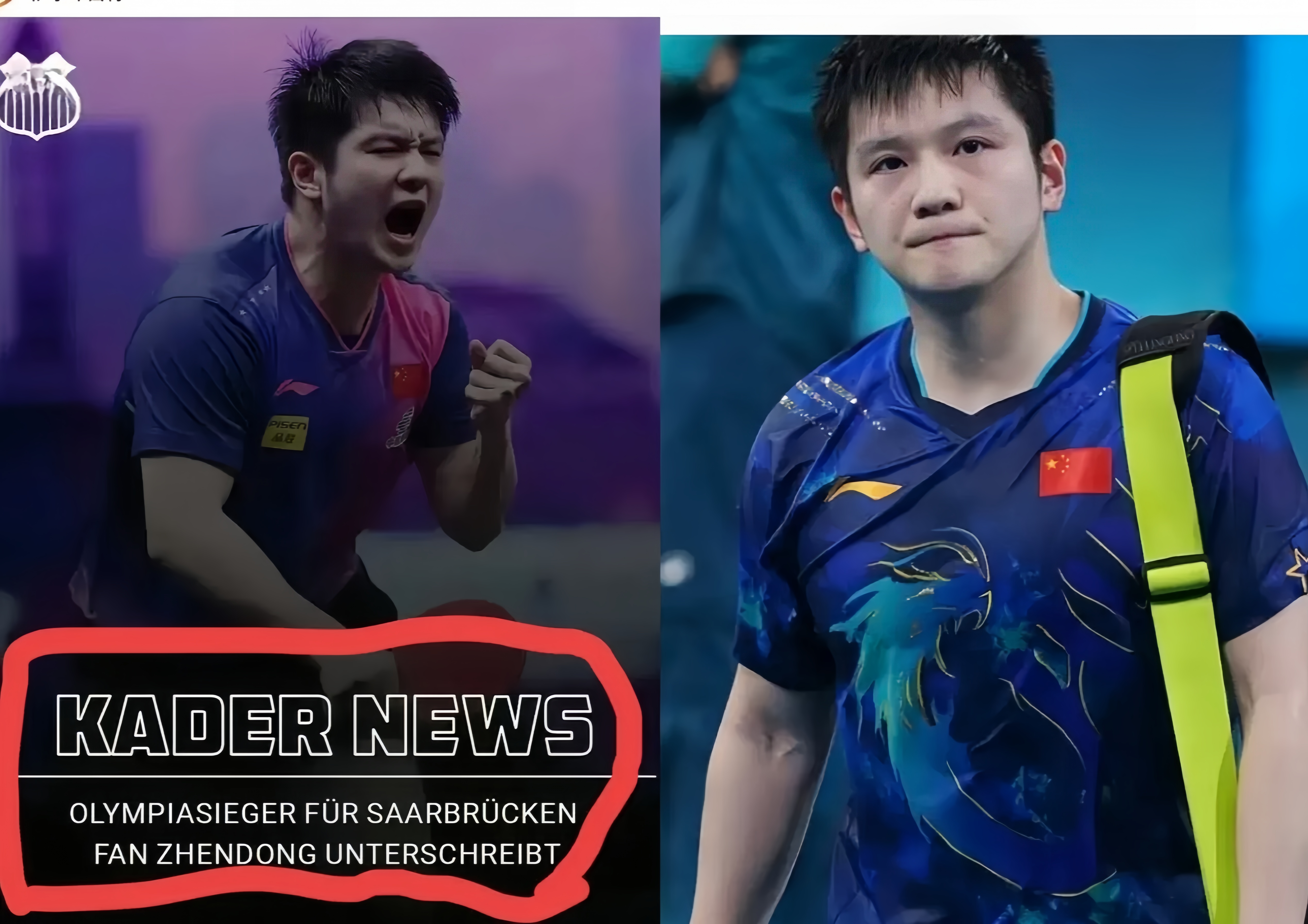 法国队碾压德国队，樊振东状态火热