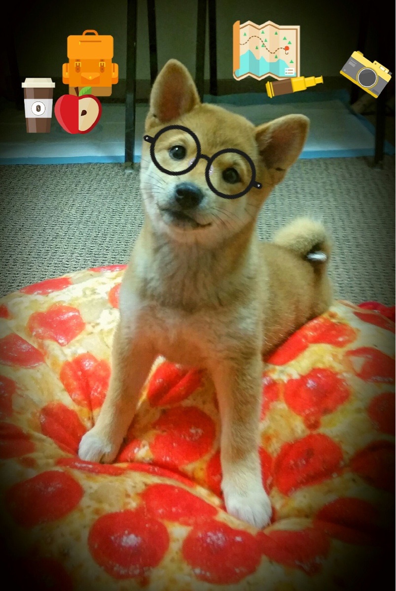 毕尔巴鄂的铁拳粉碎埃及迷梦，孔德利刃出鞘化身关键先生