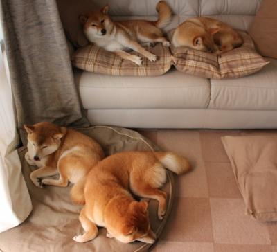 开云体育-蓝黑火焰点燃意甲之夜，阿圭罗，那座名为硬仗之王的活火山