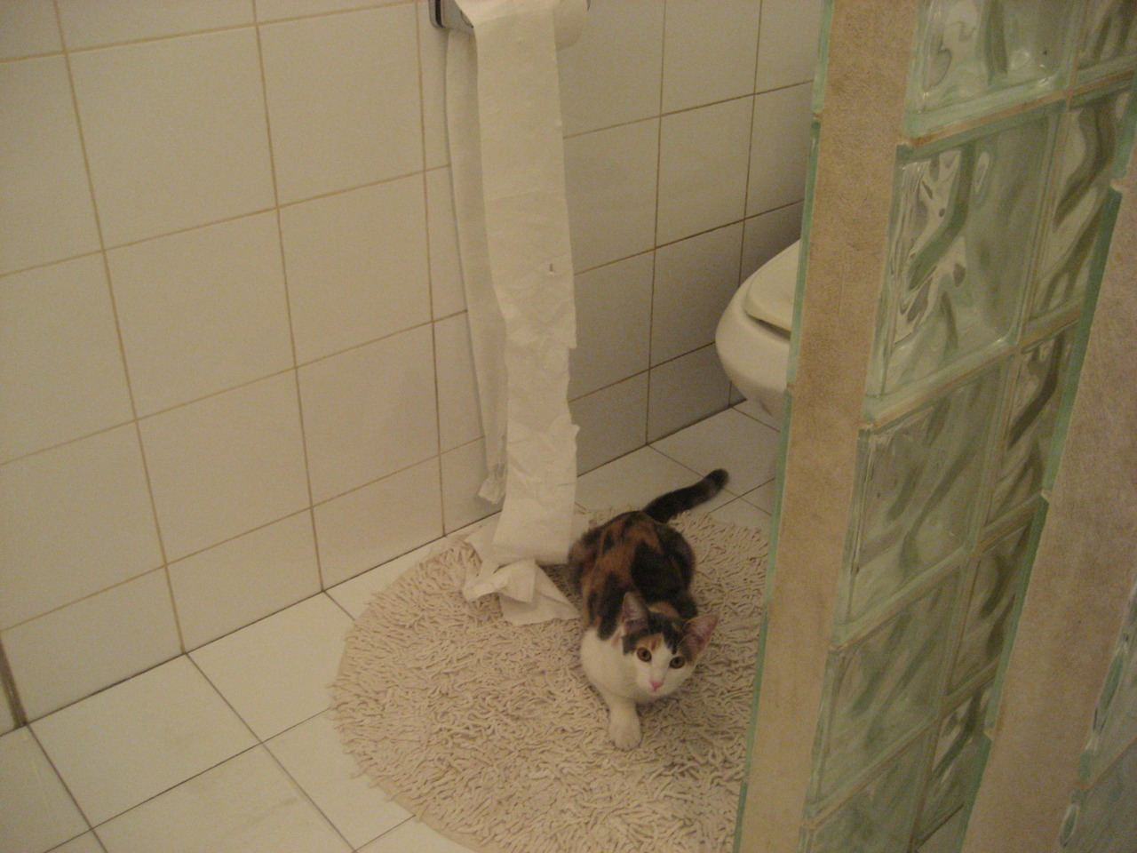 总决赛夜的冷酷杀手，莫兰特的关键回合艺术