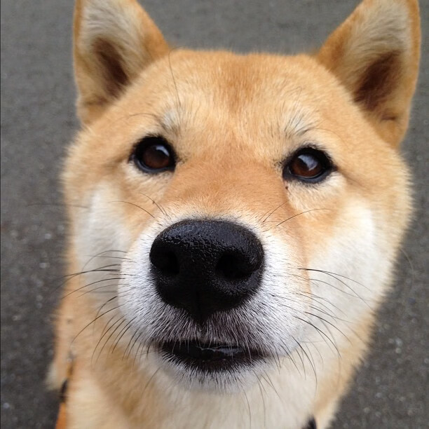 绿茵与硬木的交响，西甲国家德比的足球史诗与新疆队征服尼克斯的篮球传奇