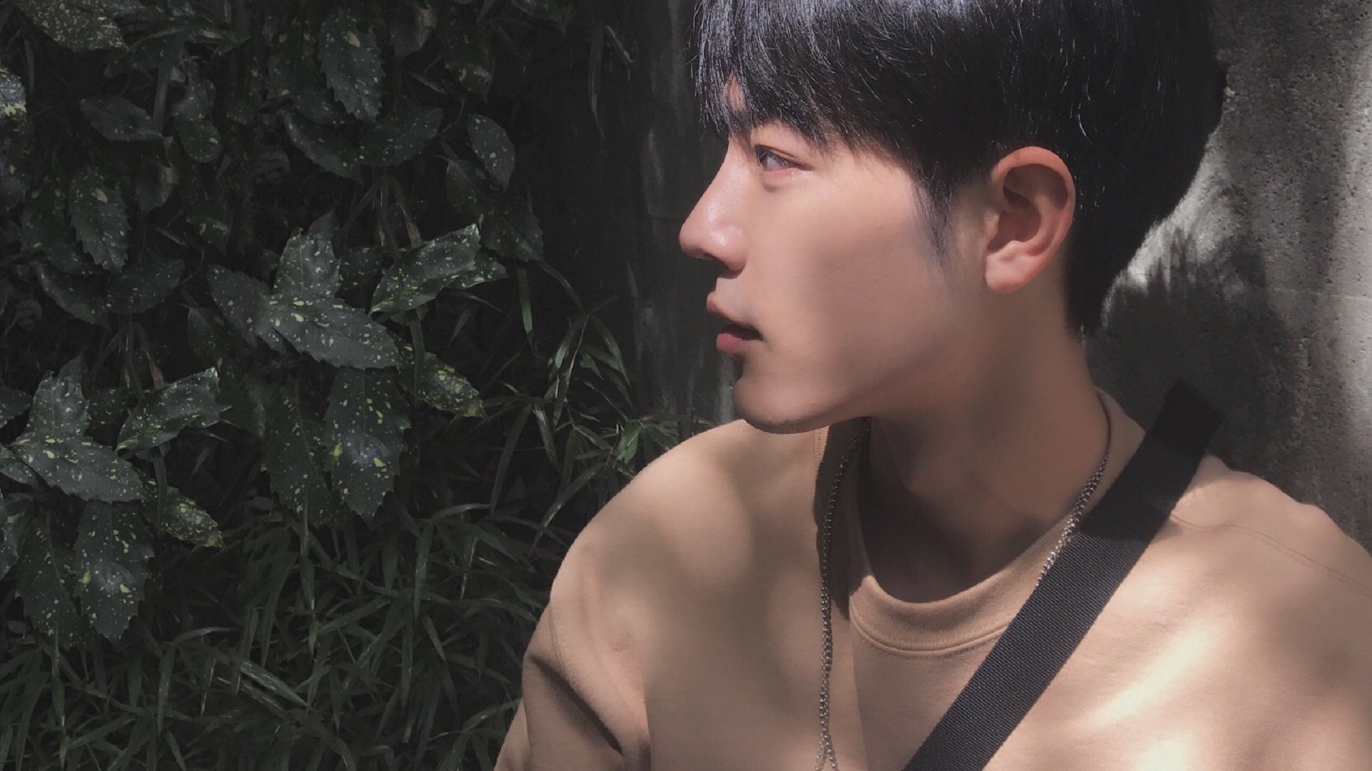 双重奏，威尔士击溃乌拉圭的团队荣耀与楚阿梅尼欧冠淘汰赛的个人统治