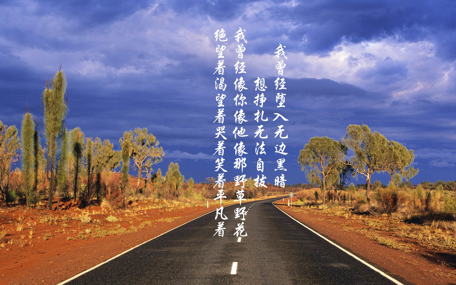 绿茵场的双重奏，阿尔及利亚的沉默怒吼与伯纳乌的青春风暴