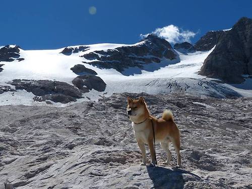 开云体育-暗夜与曙光，西亚卡姆生死战缔造杀伤美学