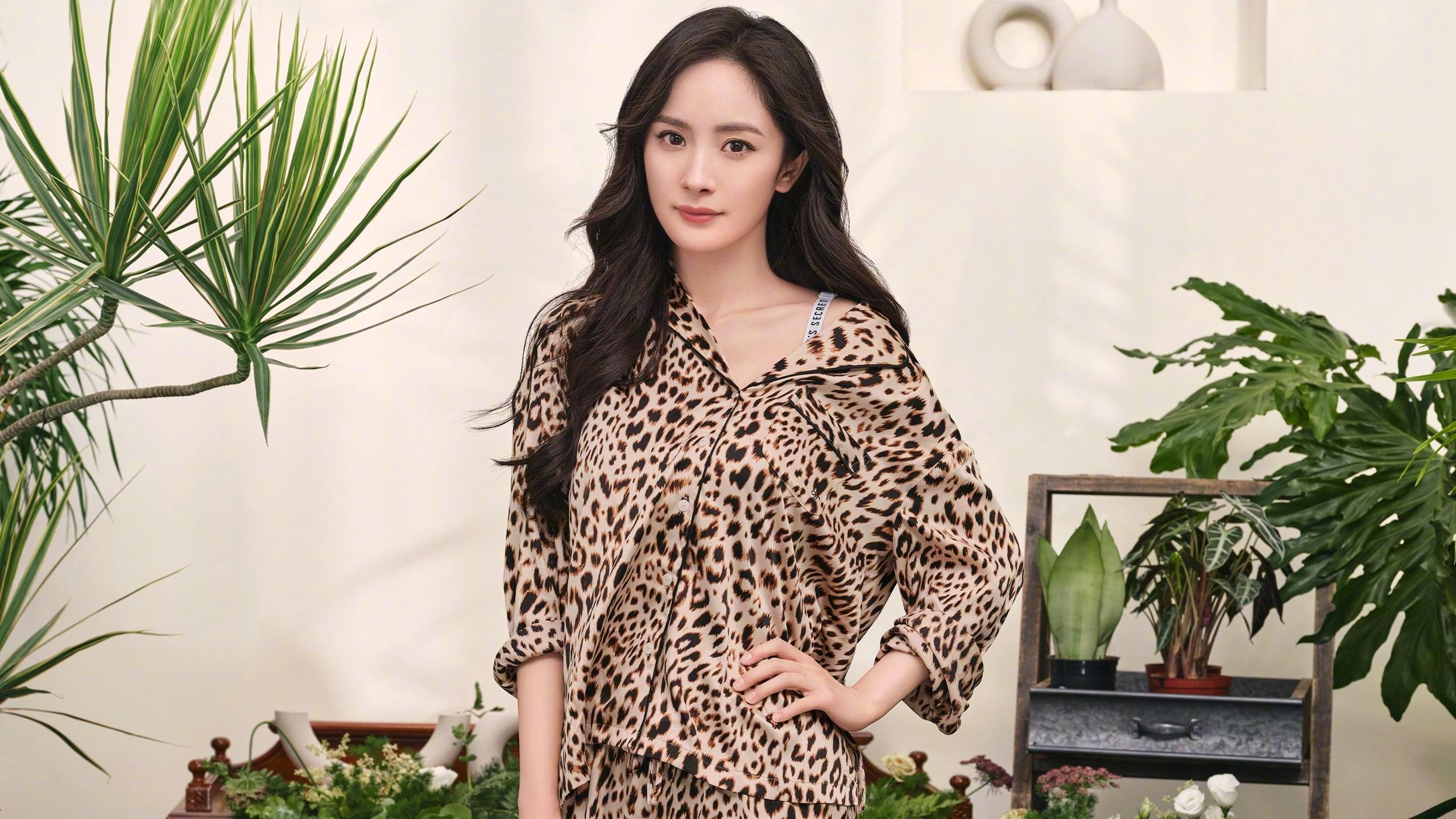 开云APP-绿茵场上的两个祖国，当委内瑞拉遇见乌克兰，谁是真正的帕尔默硬仗之王？