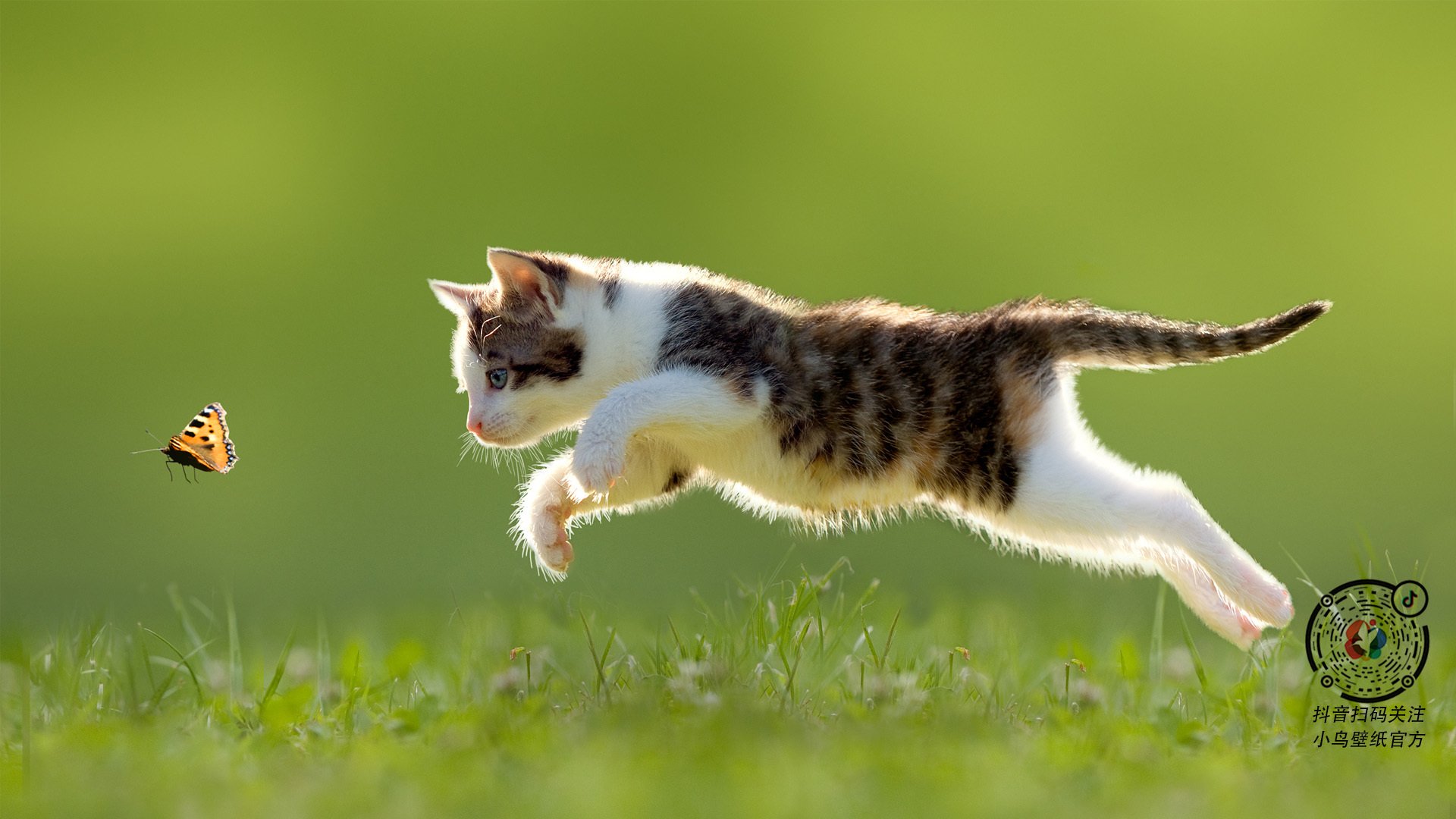 铁血对决见证后防升华！马德里竞技0-0塞维利亚，富安健洋锁死边路展现巨星价值